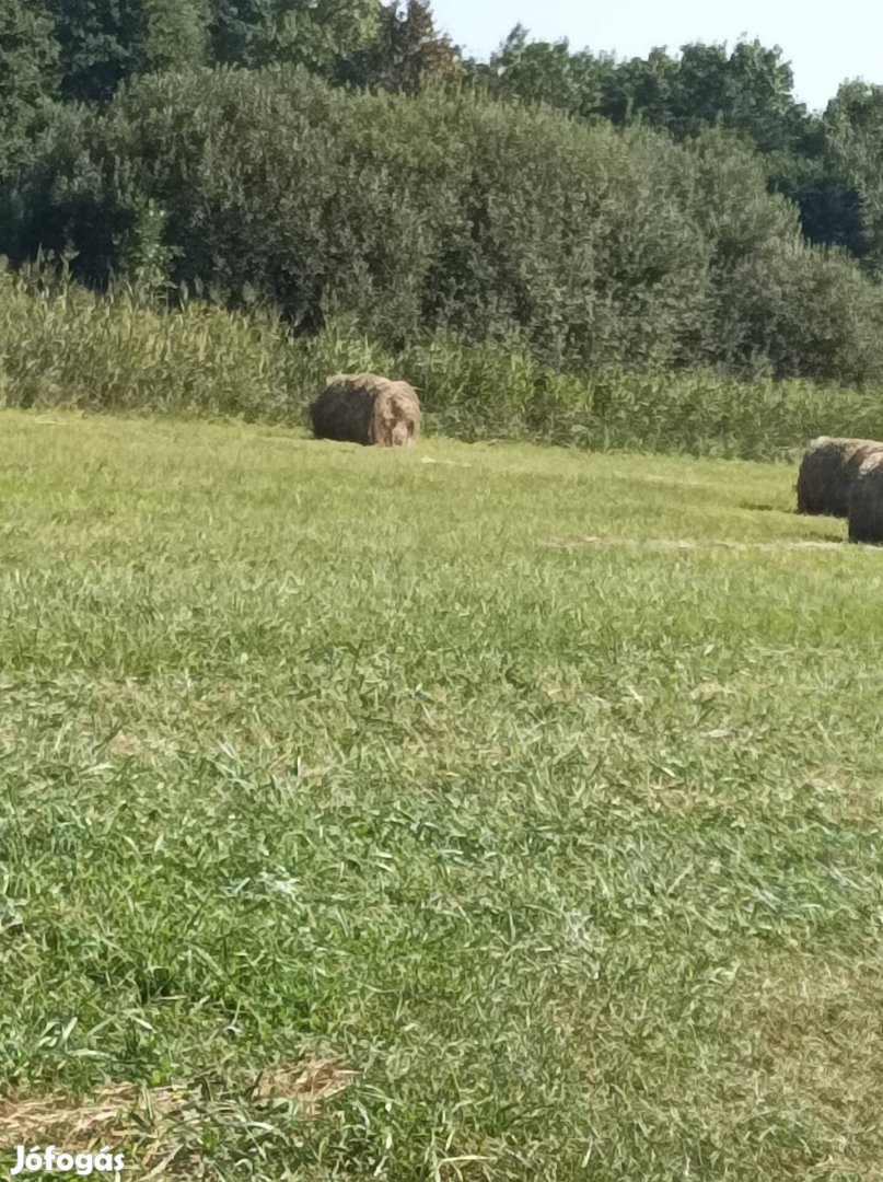 Hegyi,réti széna körbâlák eladók 