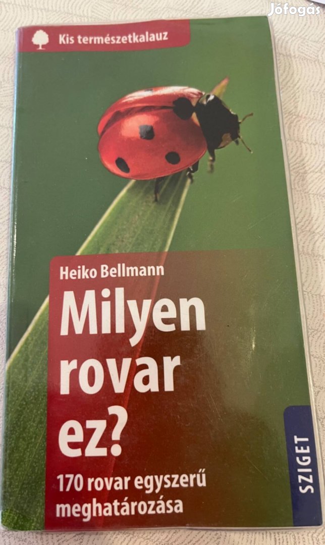 Heiko Bellmann Milyen rovar ez? Könyv