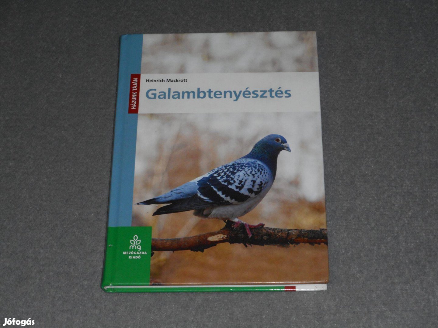 Heinrich Mackrott - Galambtenyésztés