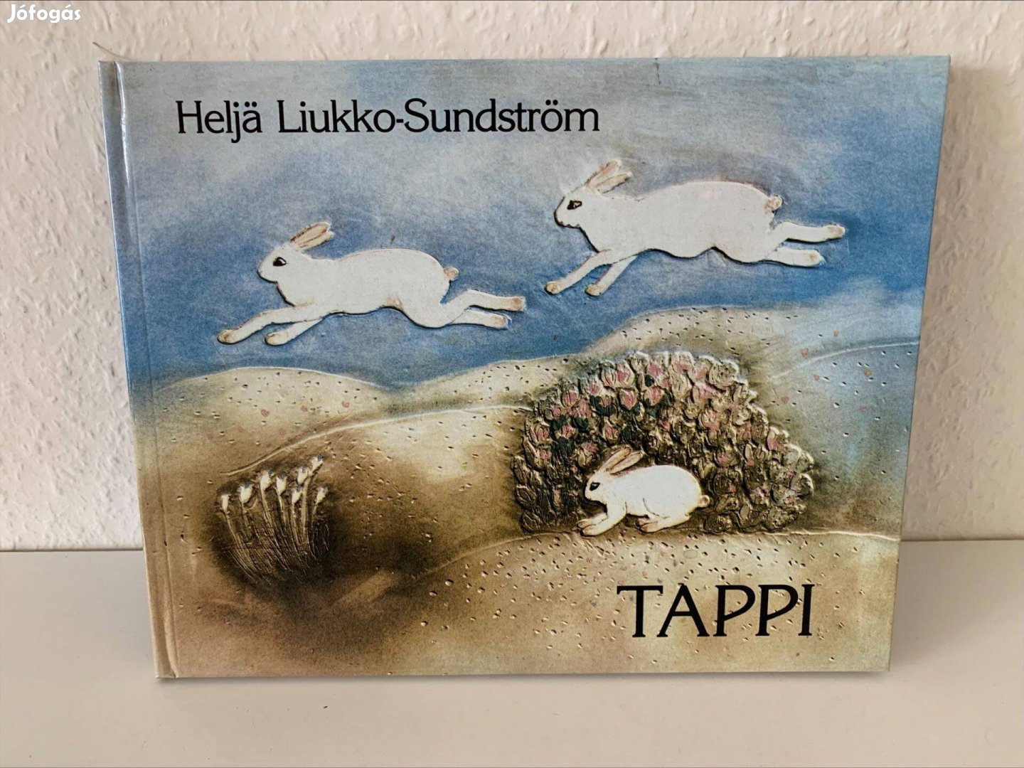 Helja Liukko- Sundström - Tappi gyerek könyv mesekönyv
