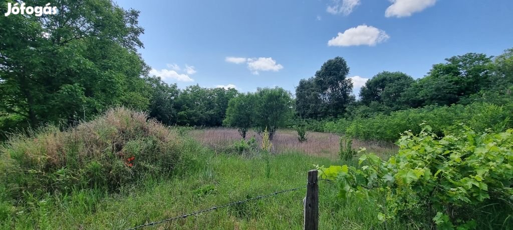 Helvéciai 2000 nm-es telek eladó