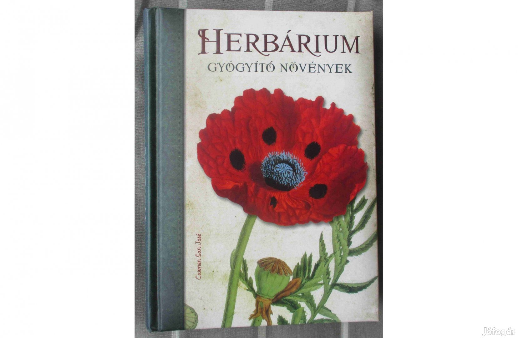 Herbárium - Gyógyító növények