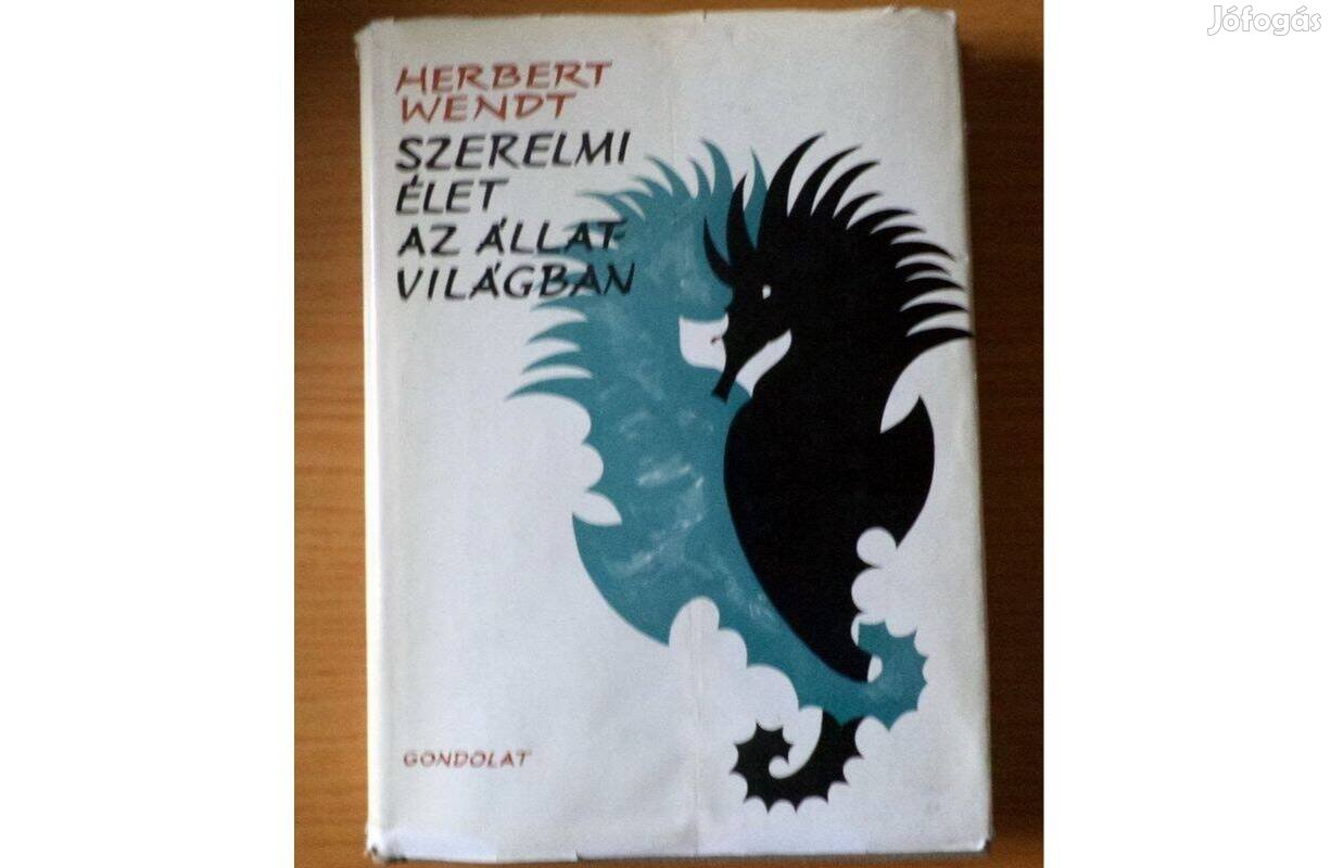 Előnézeti kép