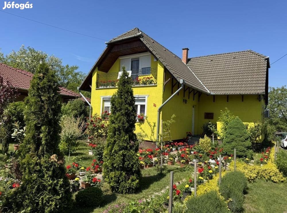 Hevesi 203 nm-es ház eladó #4900245