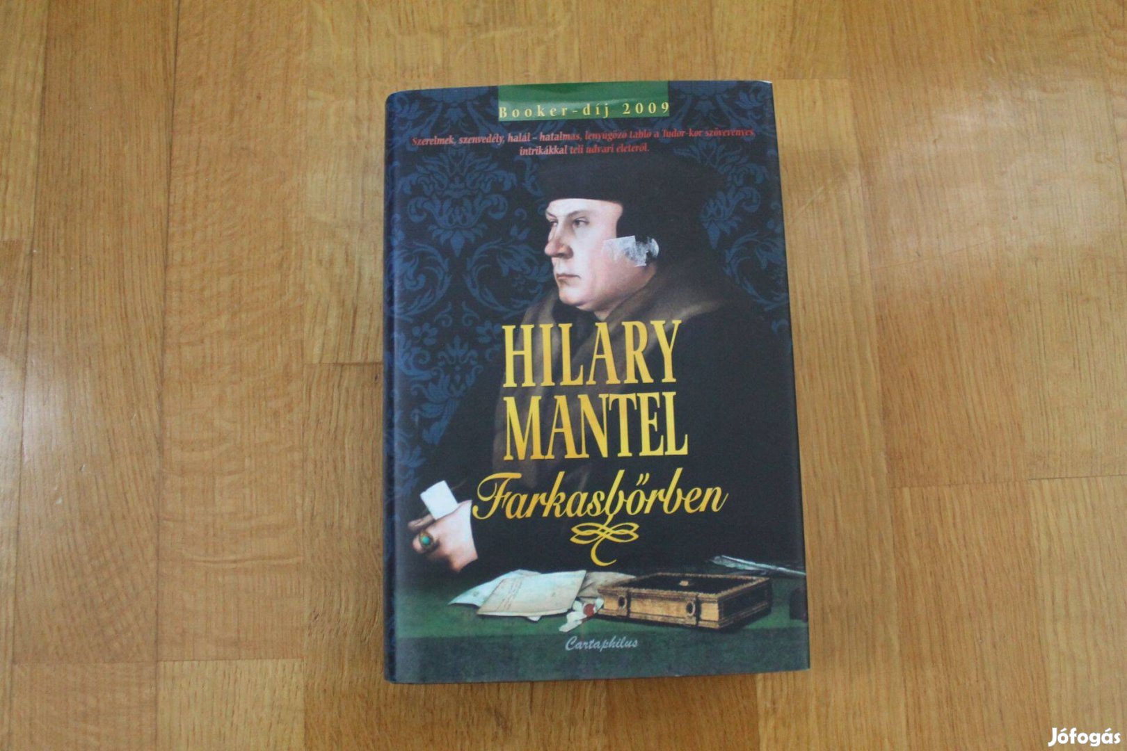 Hilary Mantel - Farkasbőrben