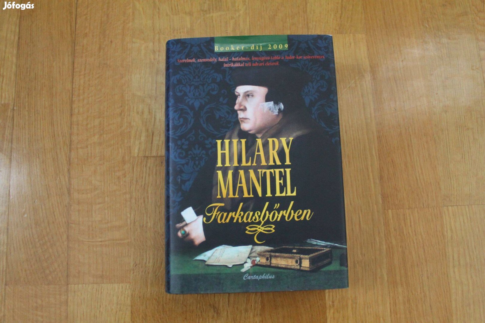 Hilary Mantel - Farkasbőrben