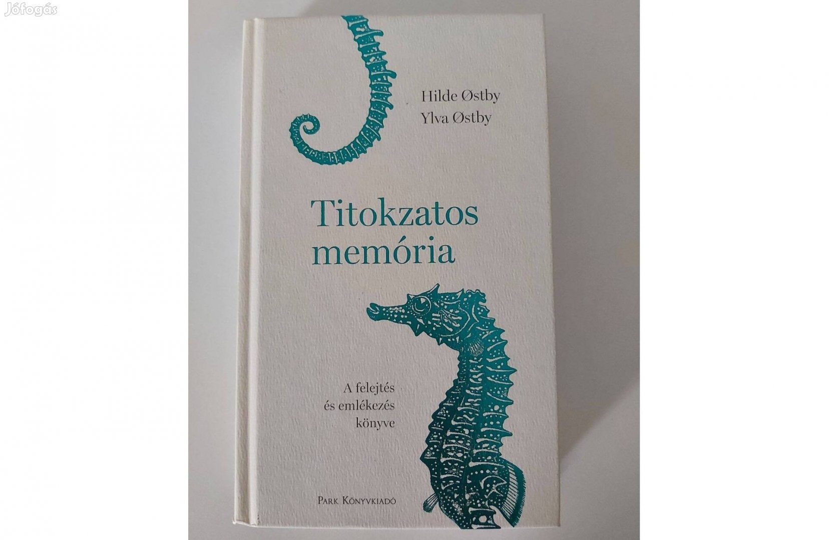 Hilde Ostby Ylva Ostby: Titokzatos memória