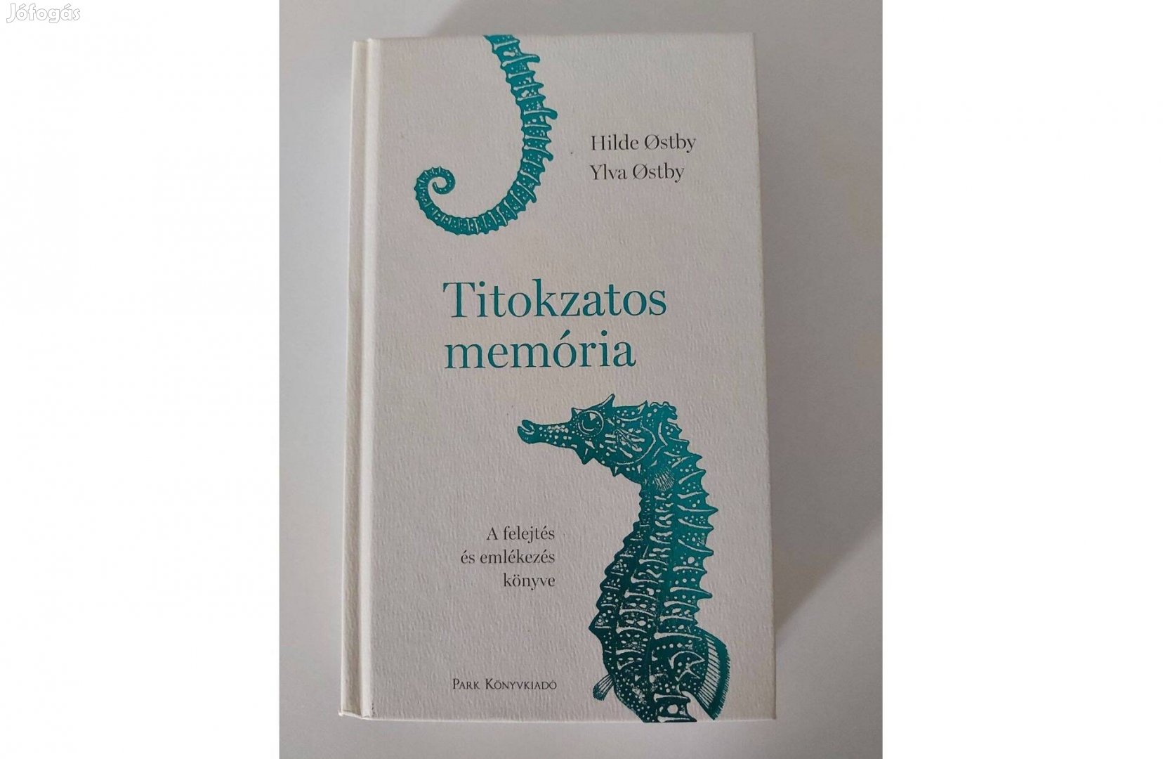 Hilde Ostby Ylva Ostby: Titokzatos memória