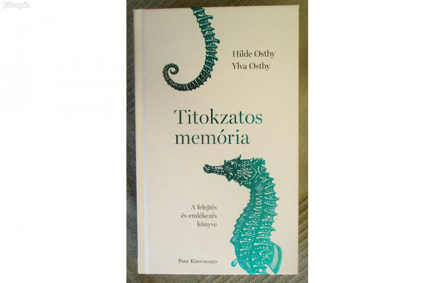 Hilde stby, Ylva stby: Titokzatos memória