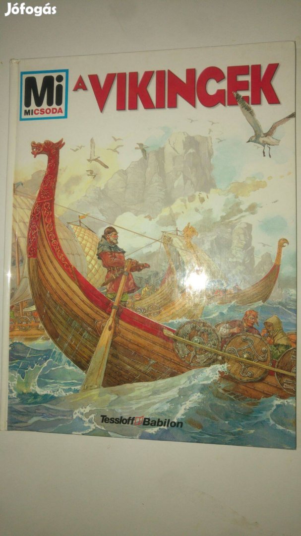 Hildegard Elsner Mi micsoda - A vikingek