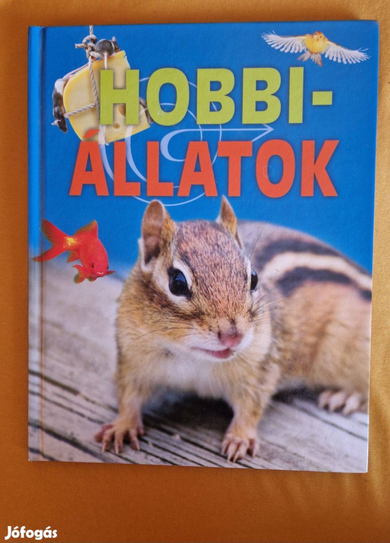 Hobbi állatok hibátlan