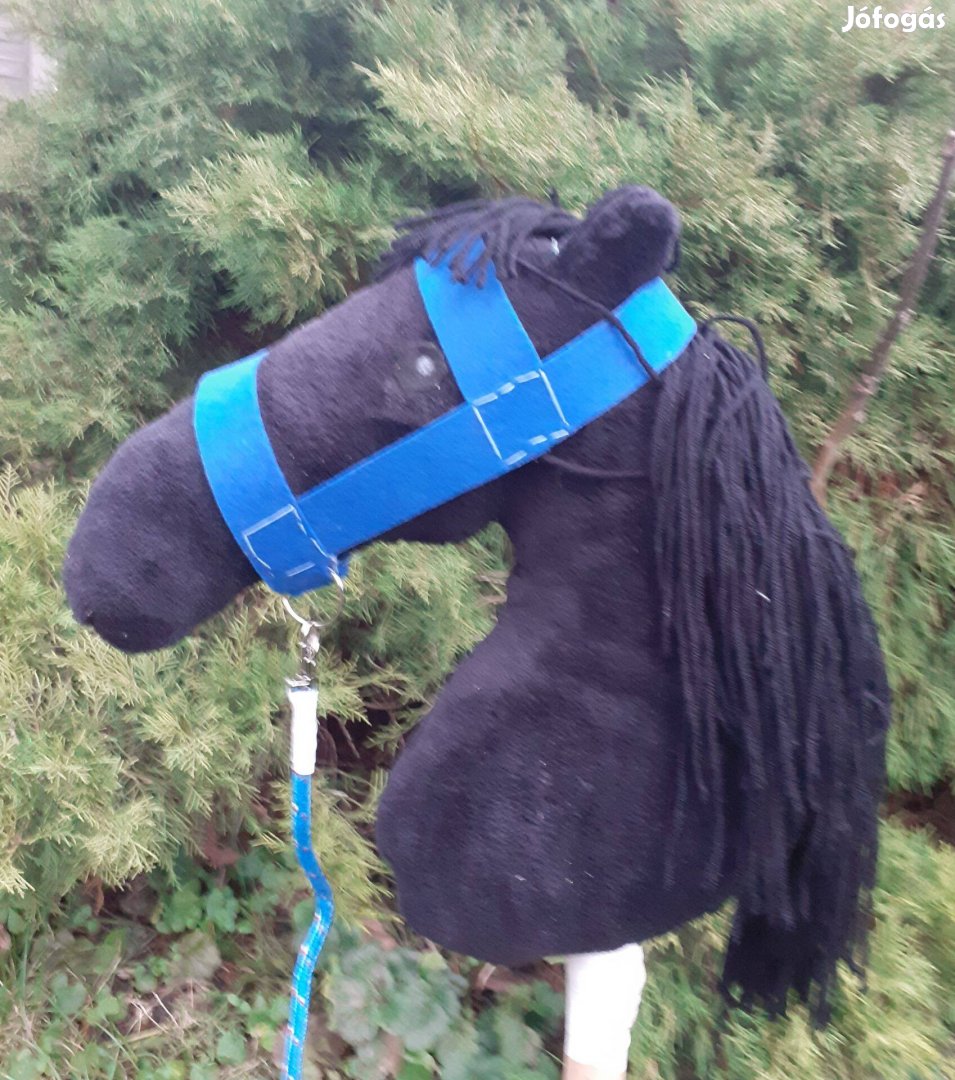 Hobby Horse felszereléssel