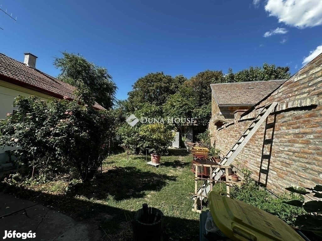 Hódmezővásárhelyi 173 nm-es ház eladó