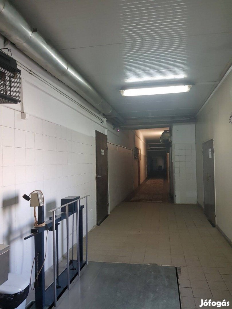 Hódmezővásárhelytől néhány percnyire , téglából épült