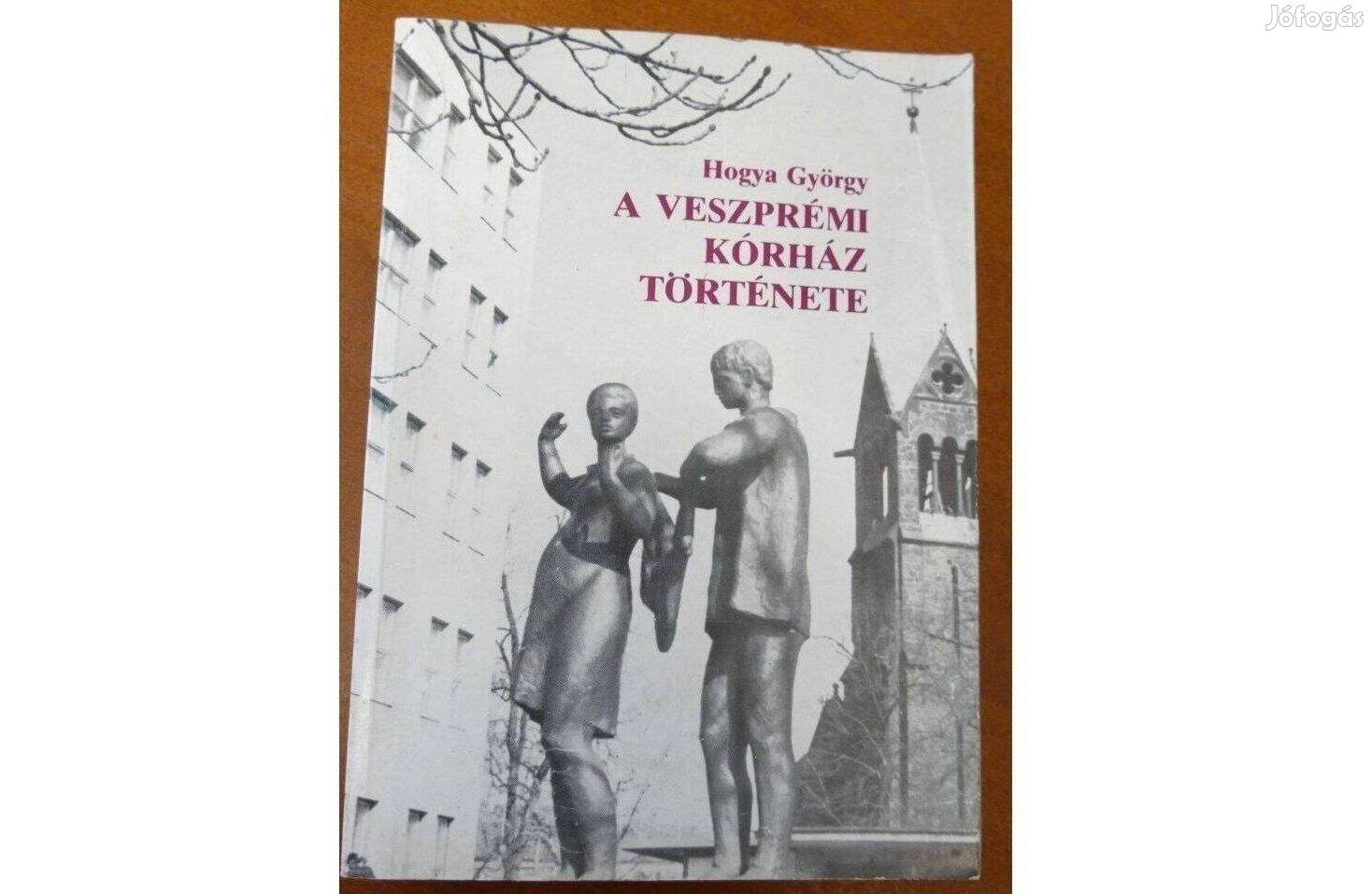 Hogya György A veszprémi kórház története