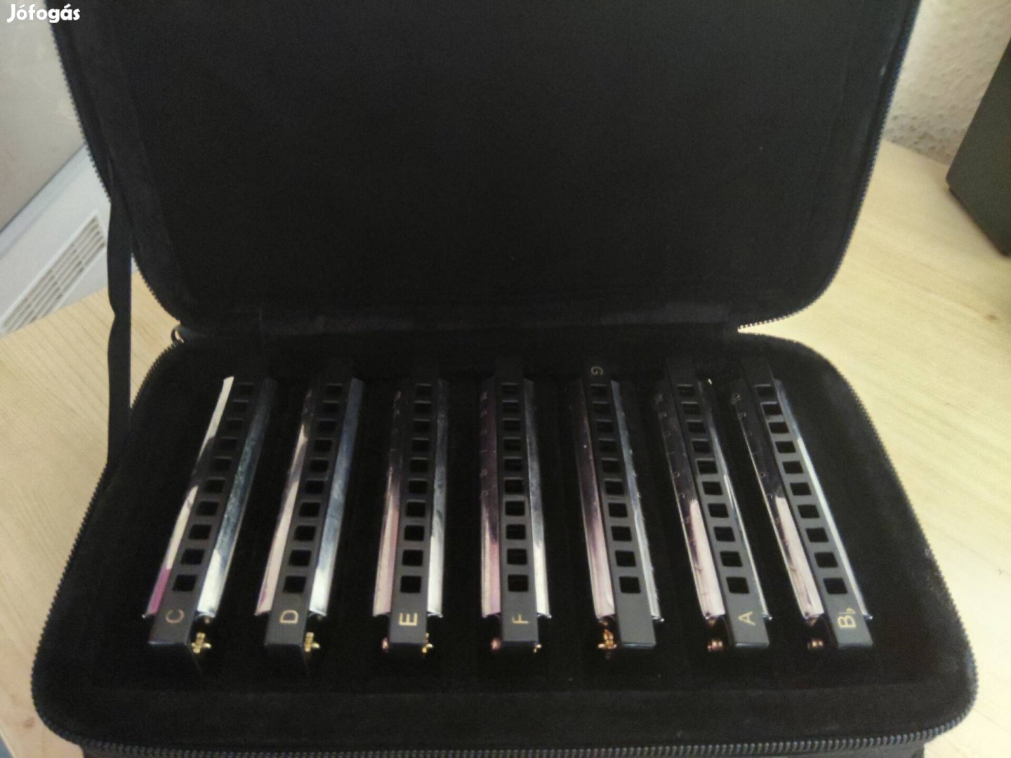 Hohner szájharmónika szett 