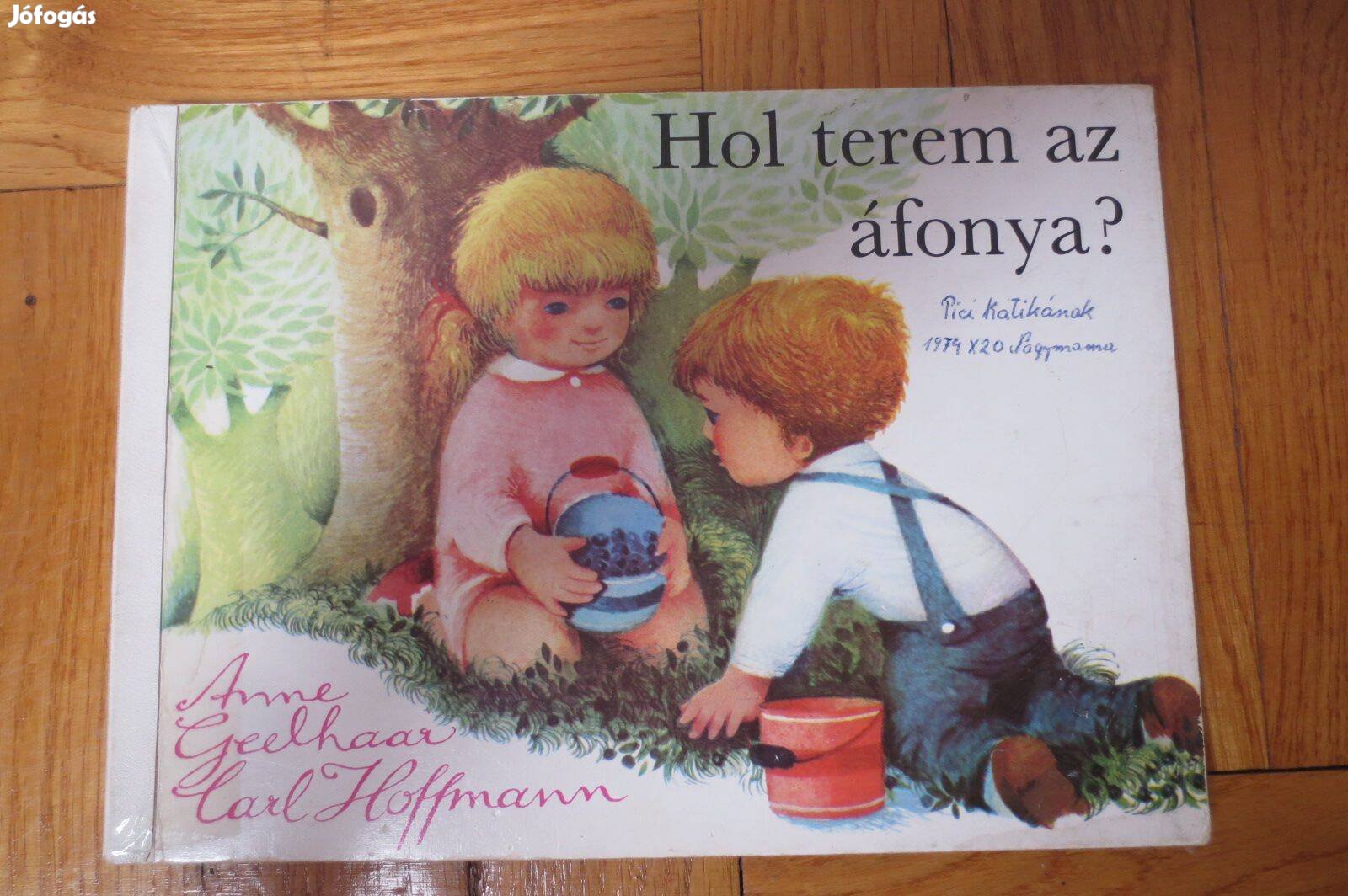 Hol terem az áfonya? keménylapos mesekönyv retro gyerek könyv régi