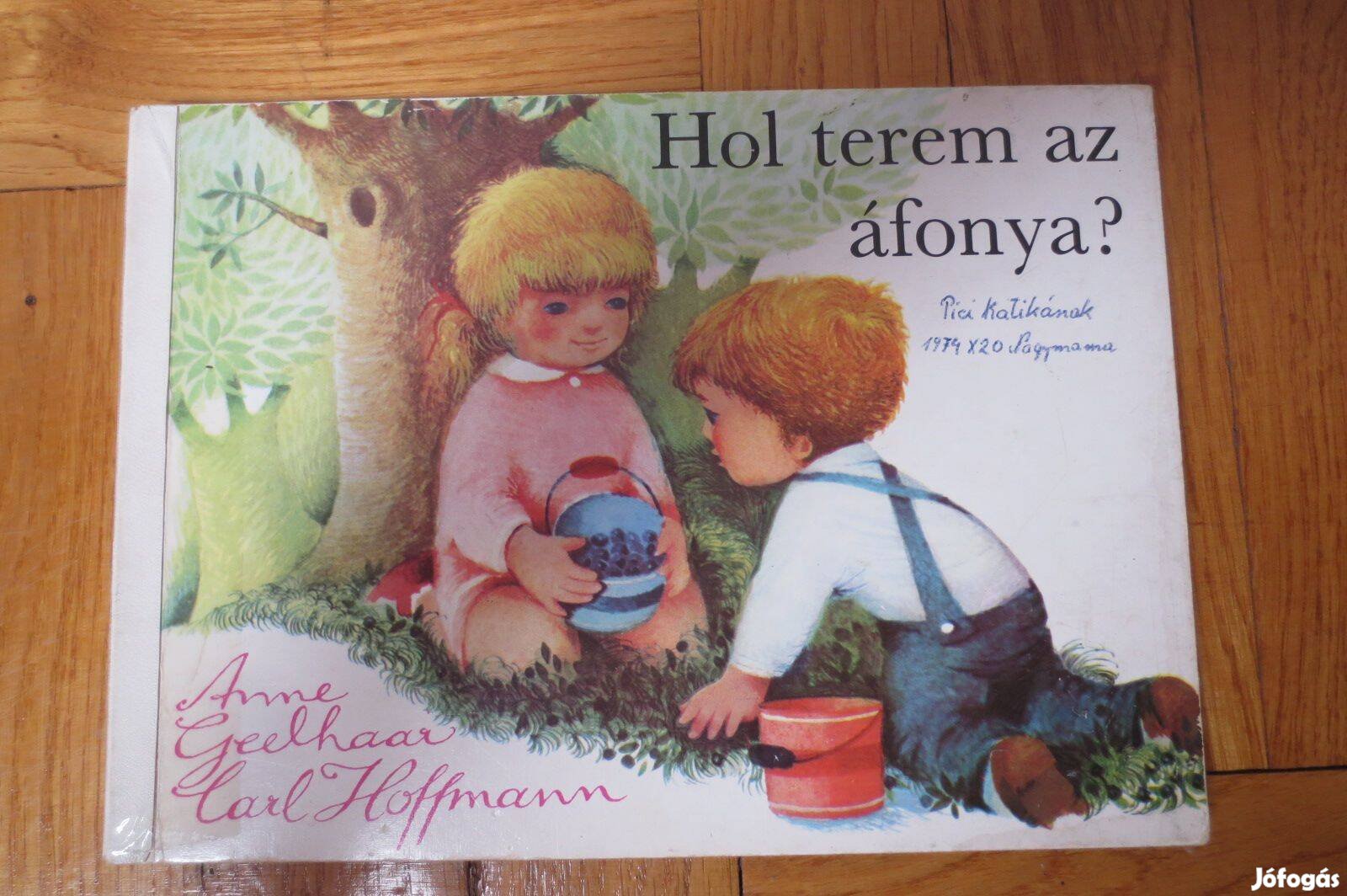 Hol terem az áfonya? keménylapos mesekönyv retro gyerek könyv régi