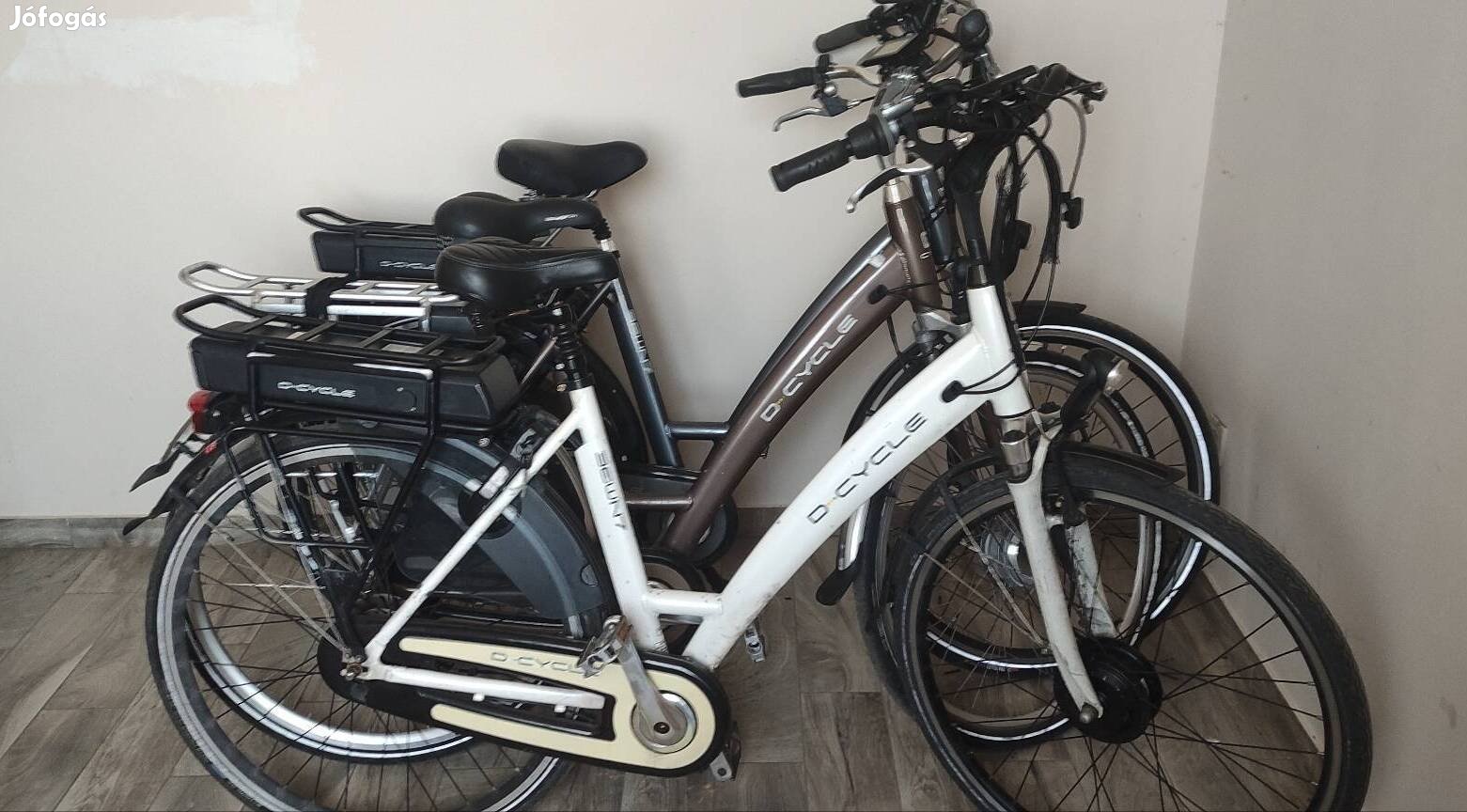 Holland pedelec elektromos kerékpárok