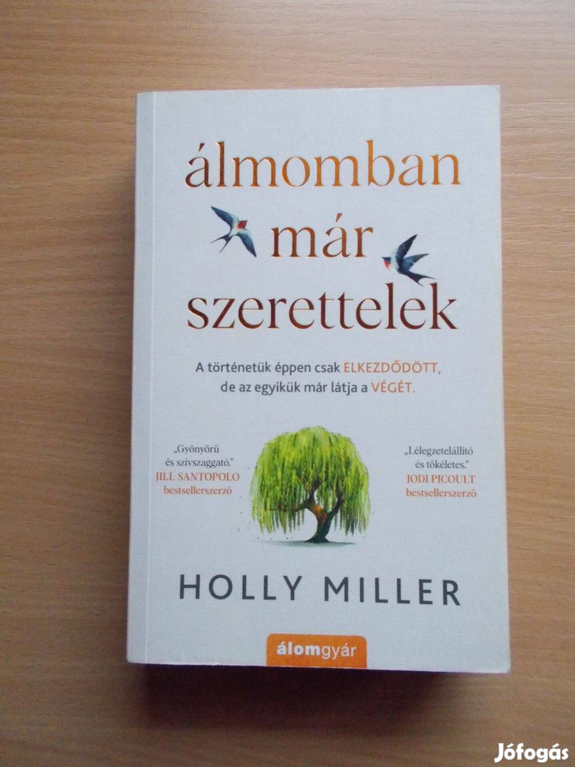 Holly Miller: Álmomban már szerettelek