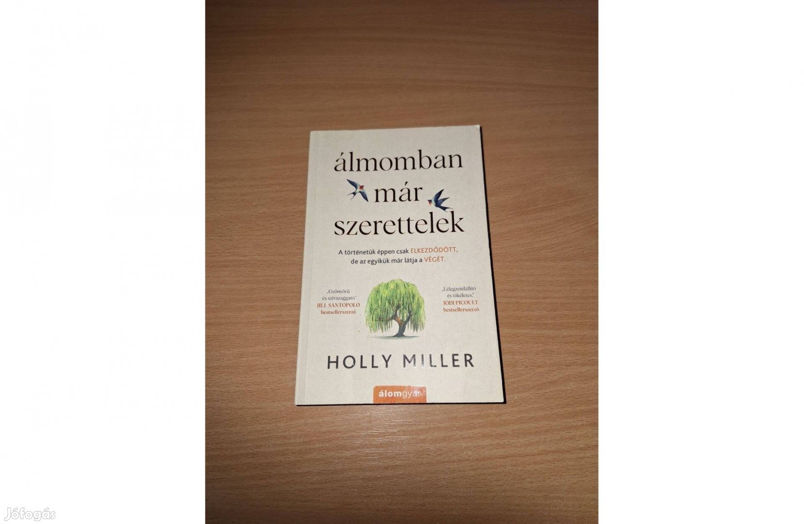 Holly Miller: Álmomban már szerettelek