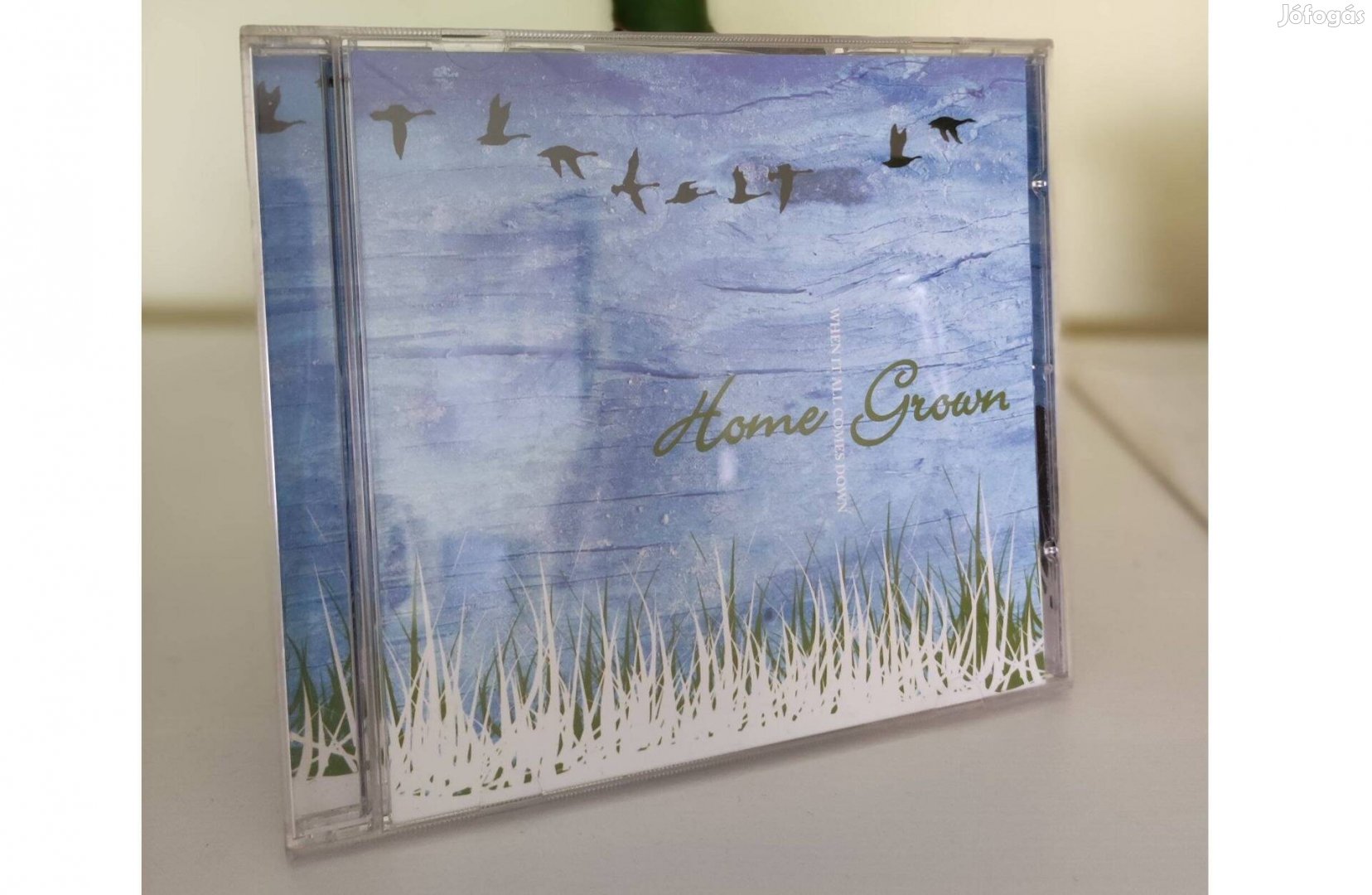 Home Grown - When It All Comes Down CD