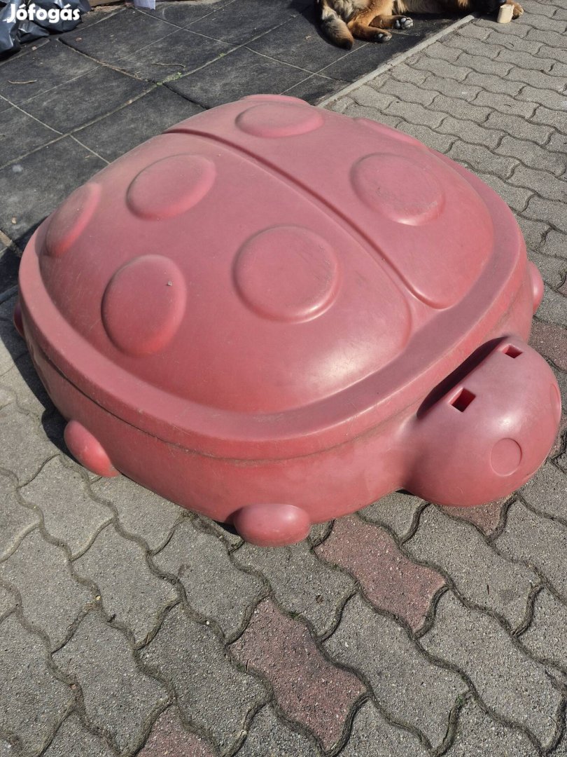 Homokozó fedeles, Chicco