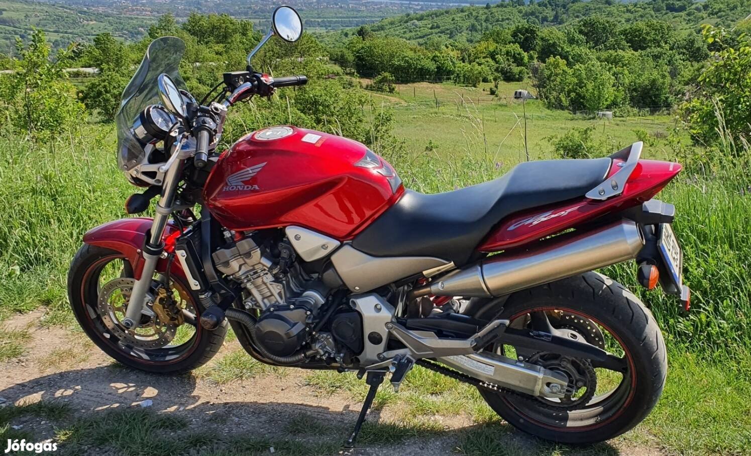 Honda CB 900 F Hornet 2006