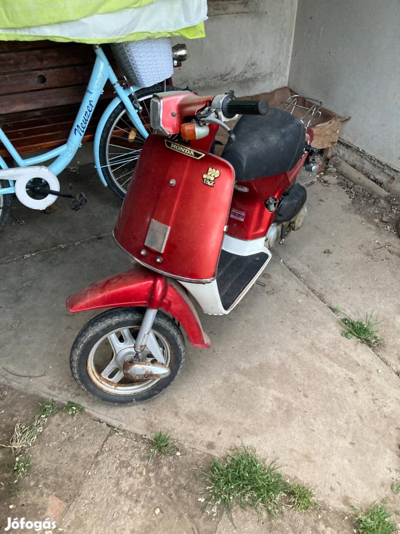 Honda Tact 50