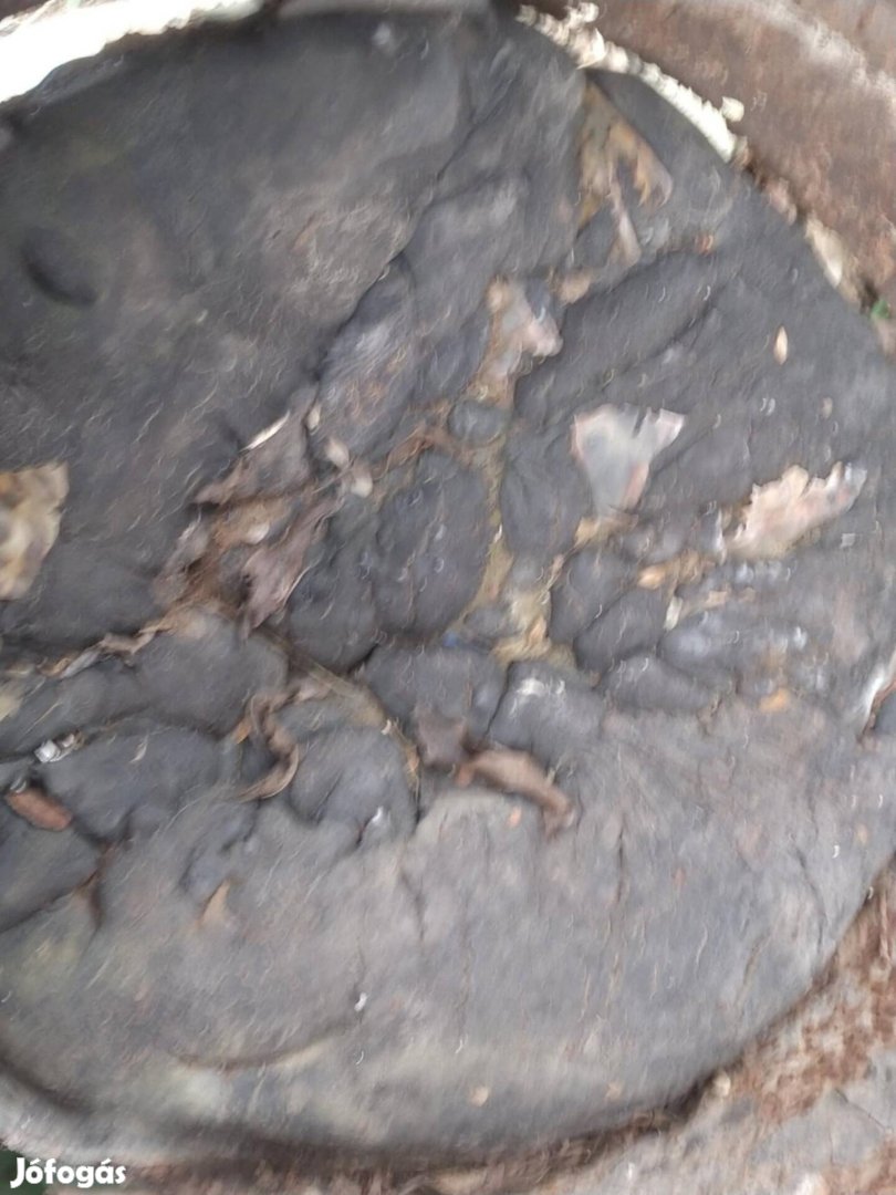 Hordós bitumen