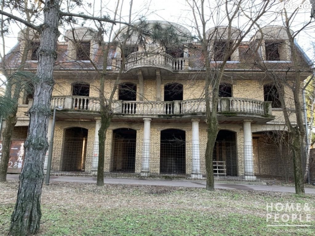 Horgoson 1000 m2-es épület eladó - Röszke