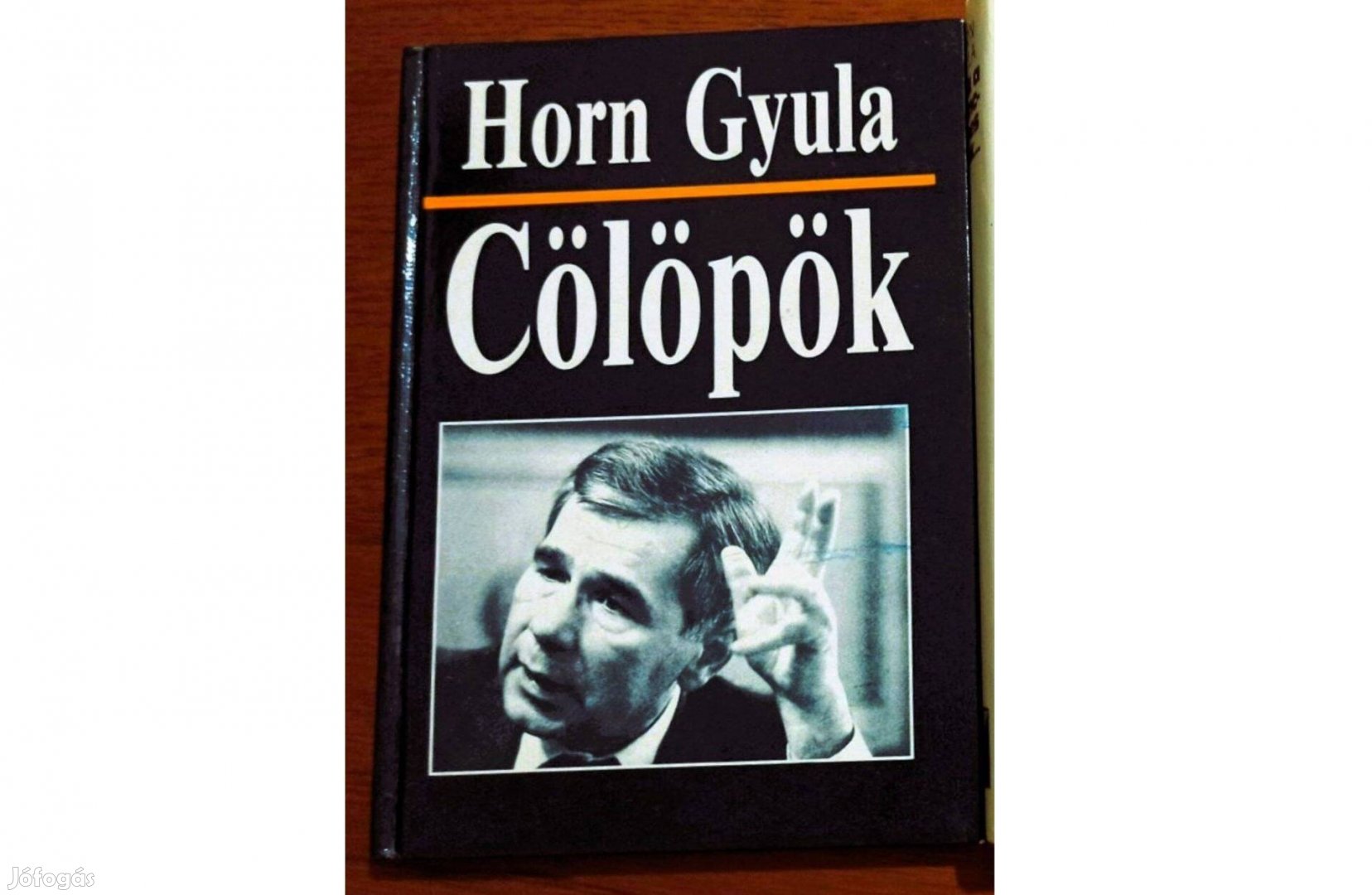 Horn Gyula -Cölöpök/visszaemlékezések, napló, memoár