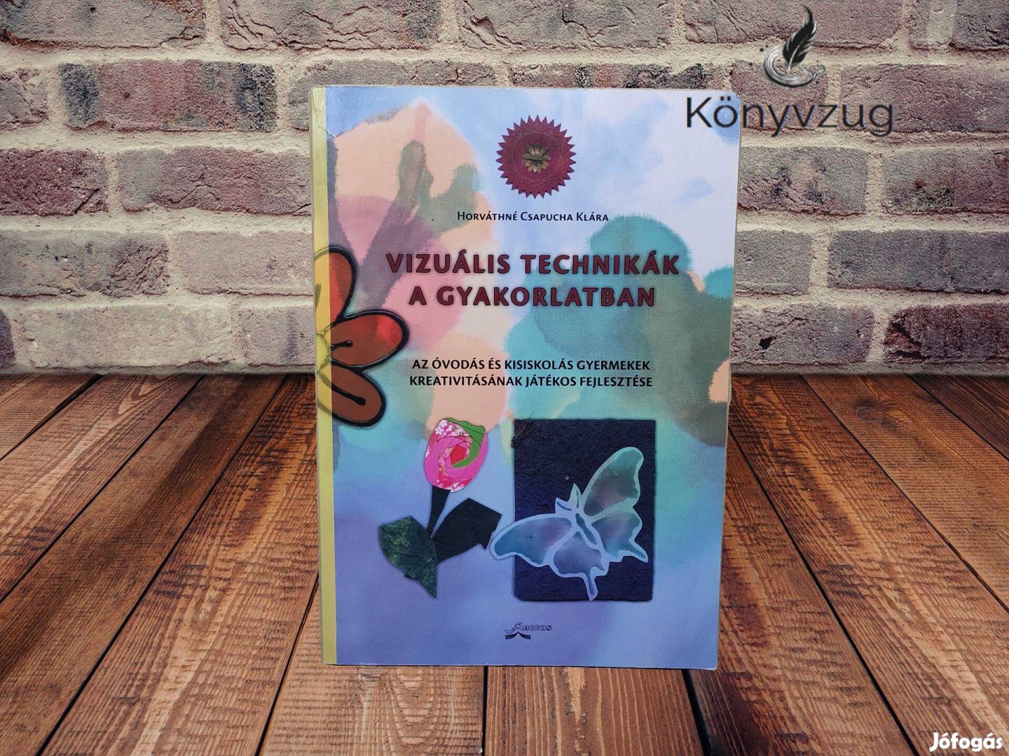 Horváthné Csapucha Klára - Vizuális technikák a gyakorlatban