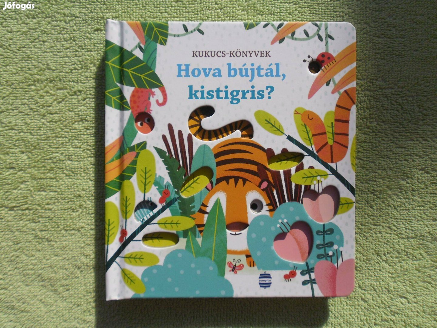 Hova bújtál, kistigris? - Kukucs könyvek