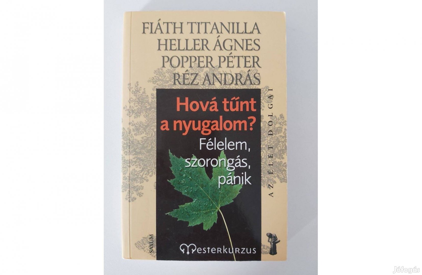 Hová tűnt a nyugalom? (Félelem, szorongás, pánik)