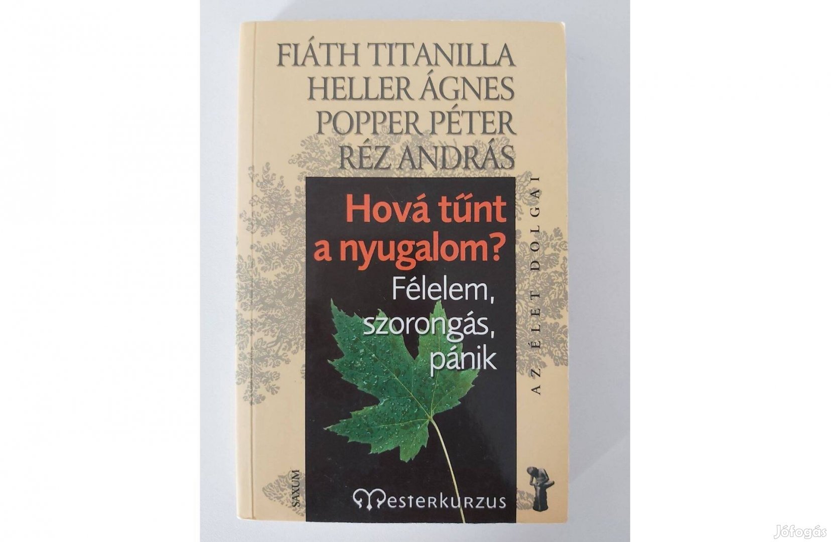 Hová tűnt a nyugalom? (Félelem, szorongás, pánik)