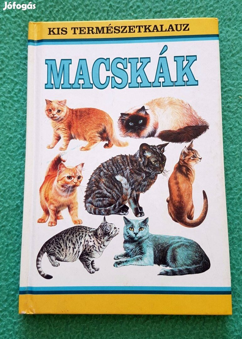 Howard Loxton Macskák könyv