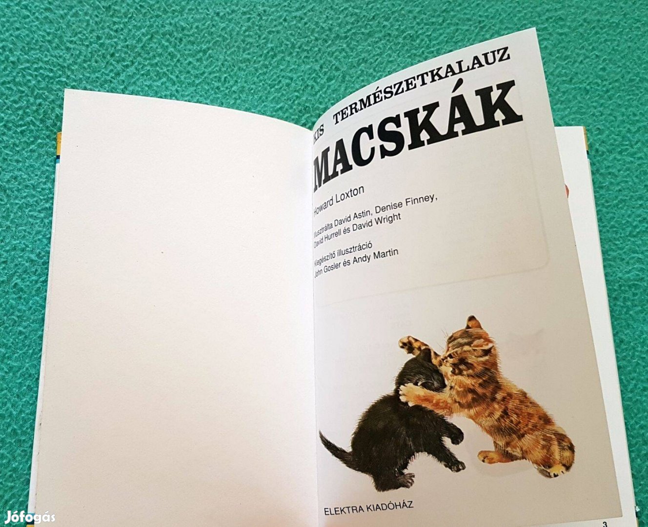 Howard Loxton: Macskák könyv (1998)