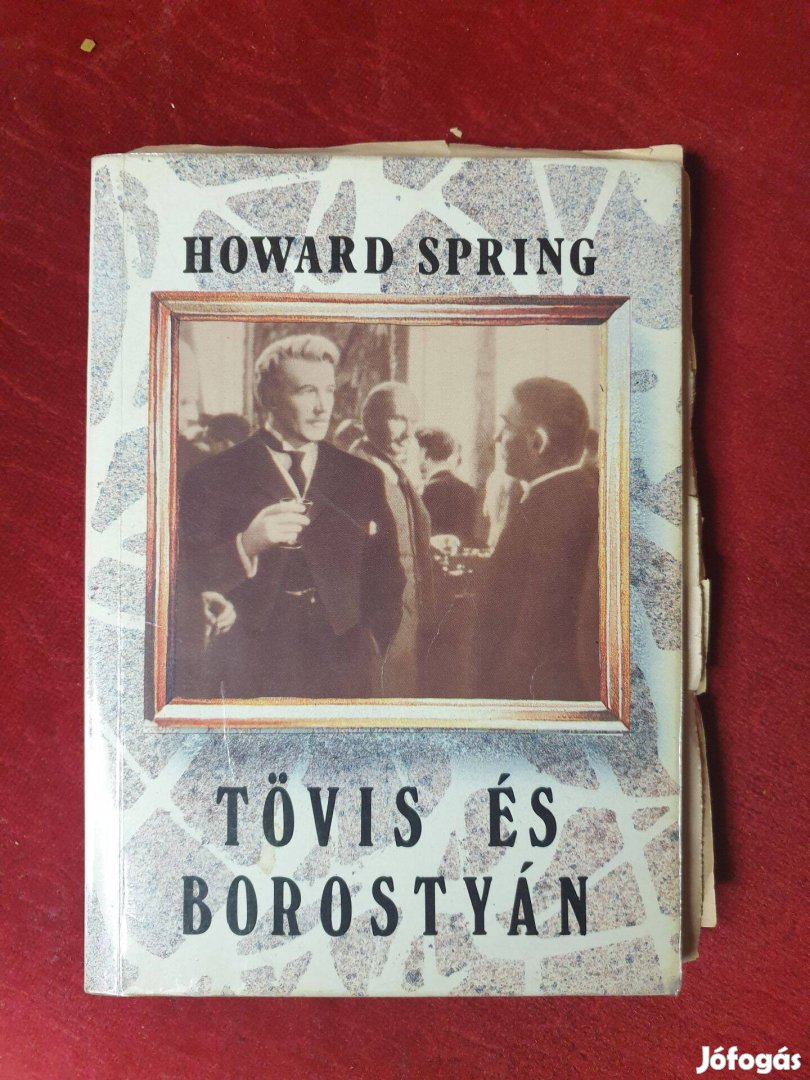 Howard Spring - Tövis és borostyán 2.kötet