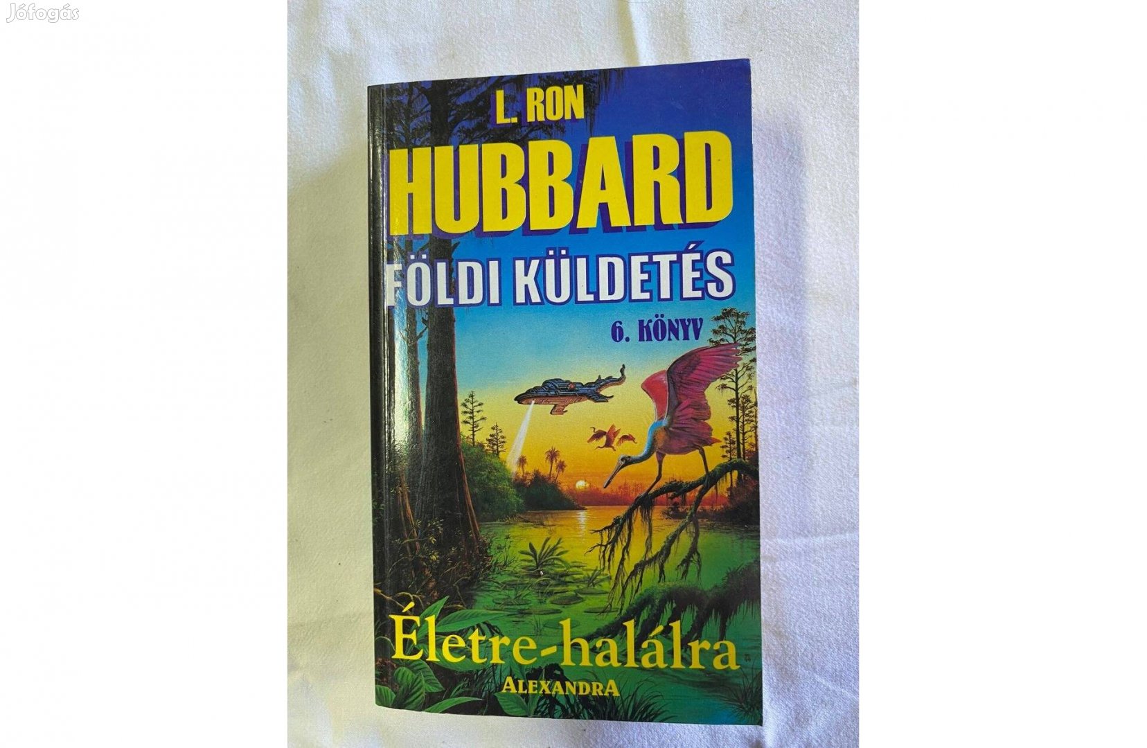 Hubbard Földi küldetés