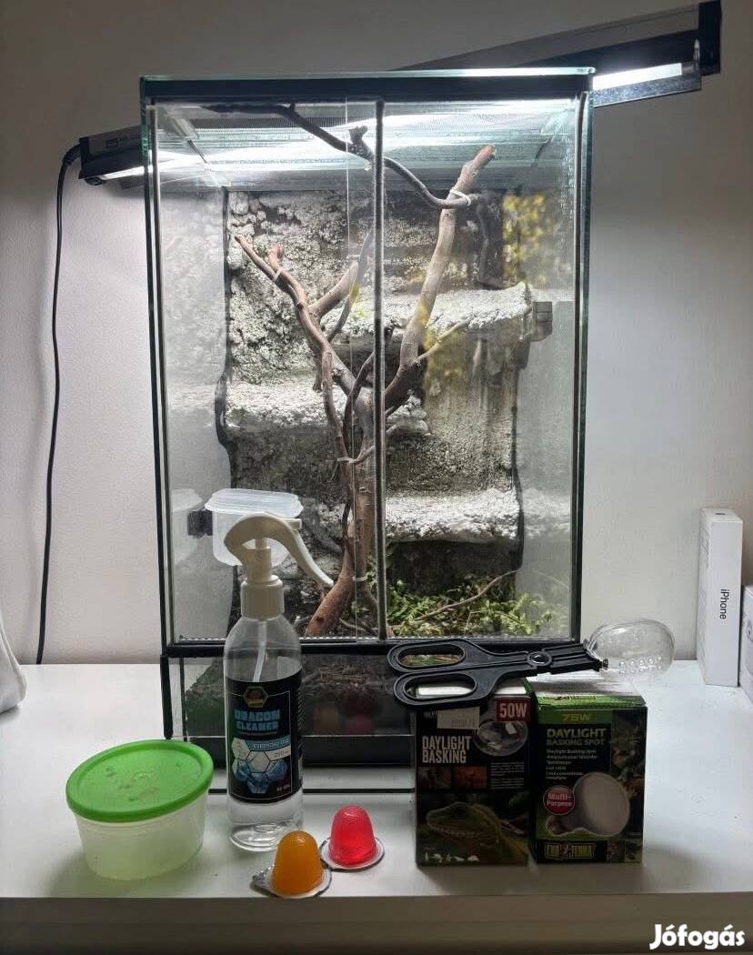 Hüllő Terrárium