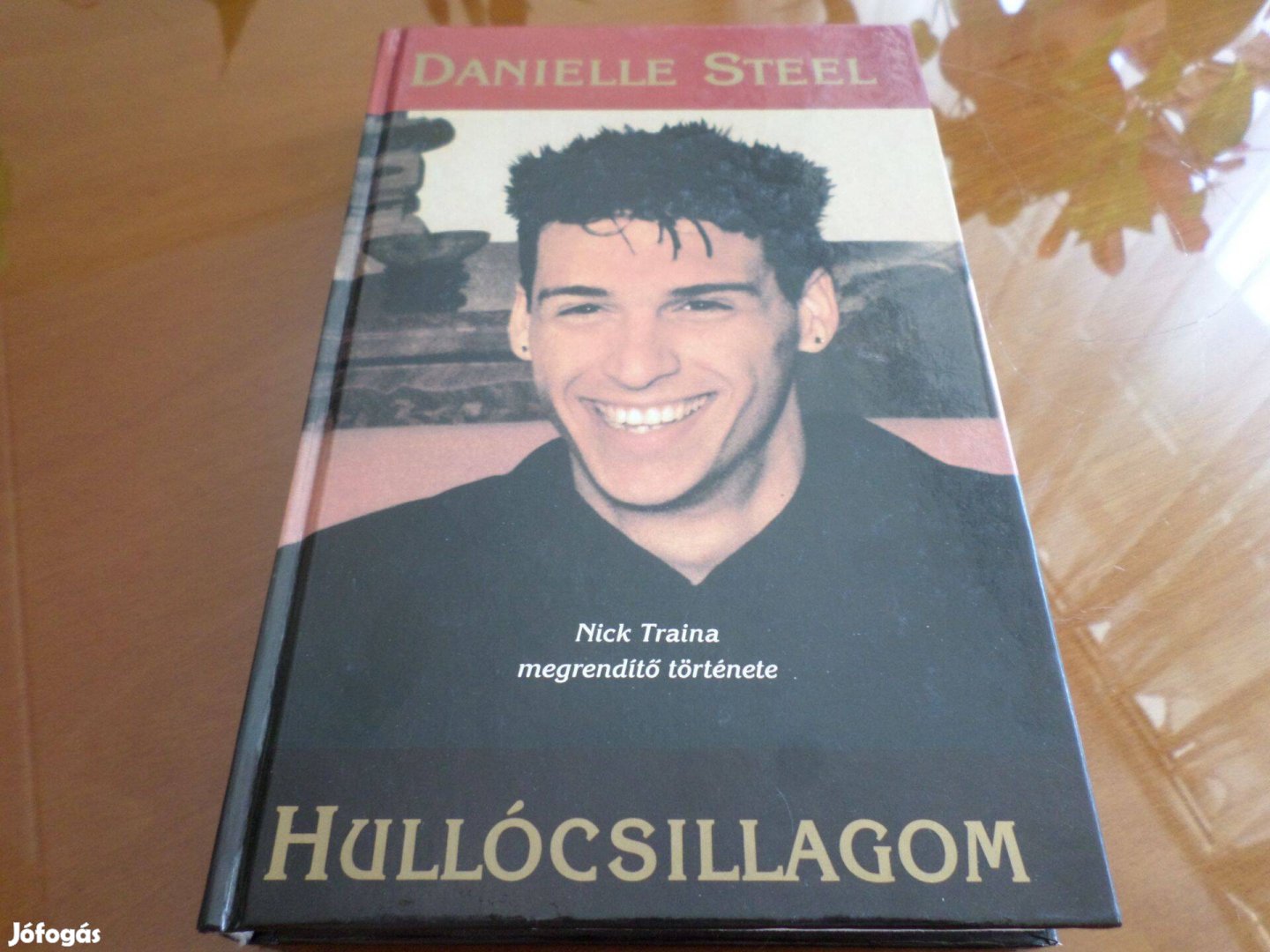 Hullócsillagom Nick Traina megrendítő Danielle Steel Romantikus