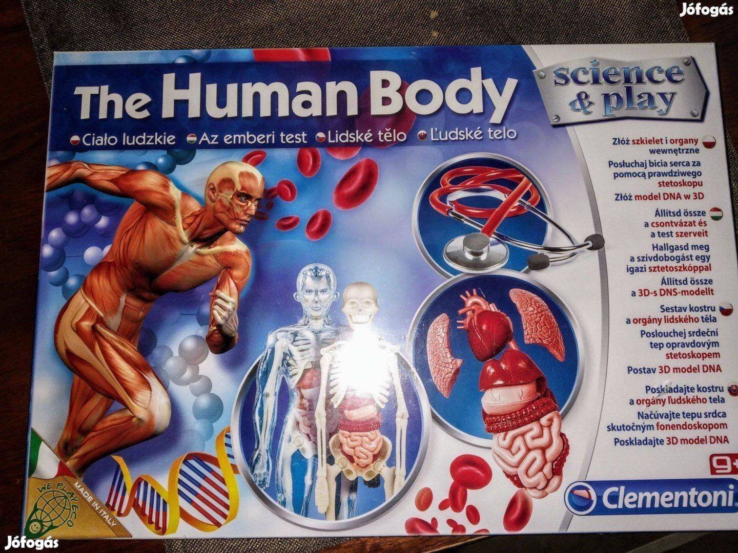 Human Body 3 D Modell Az emberi test, XXL Bővített Csomag