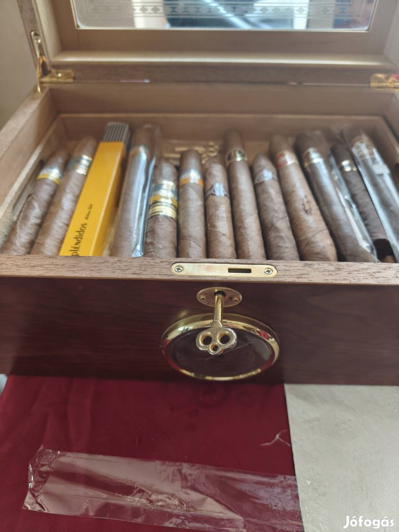 Humor magánszemélytől