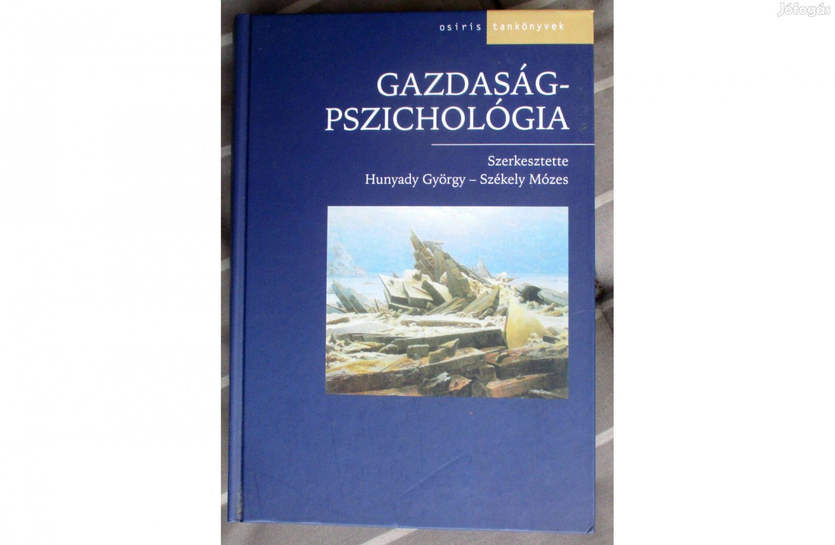 Hunyady György, Székely Mózes: Gazdaságpszichológia