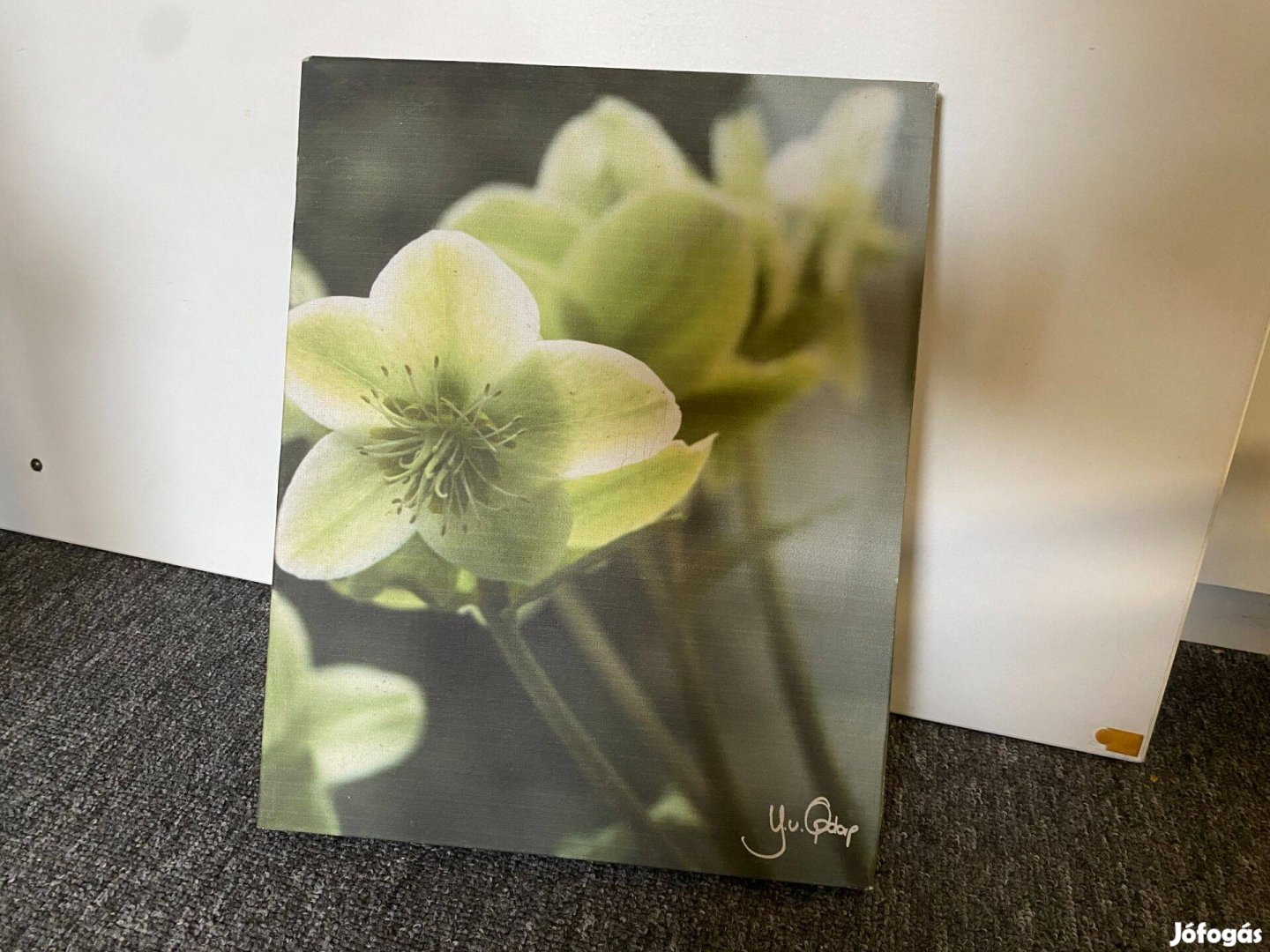 Hunyort ábrázoló kép eladó