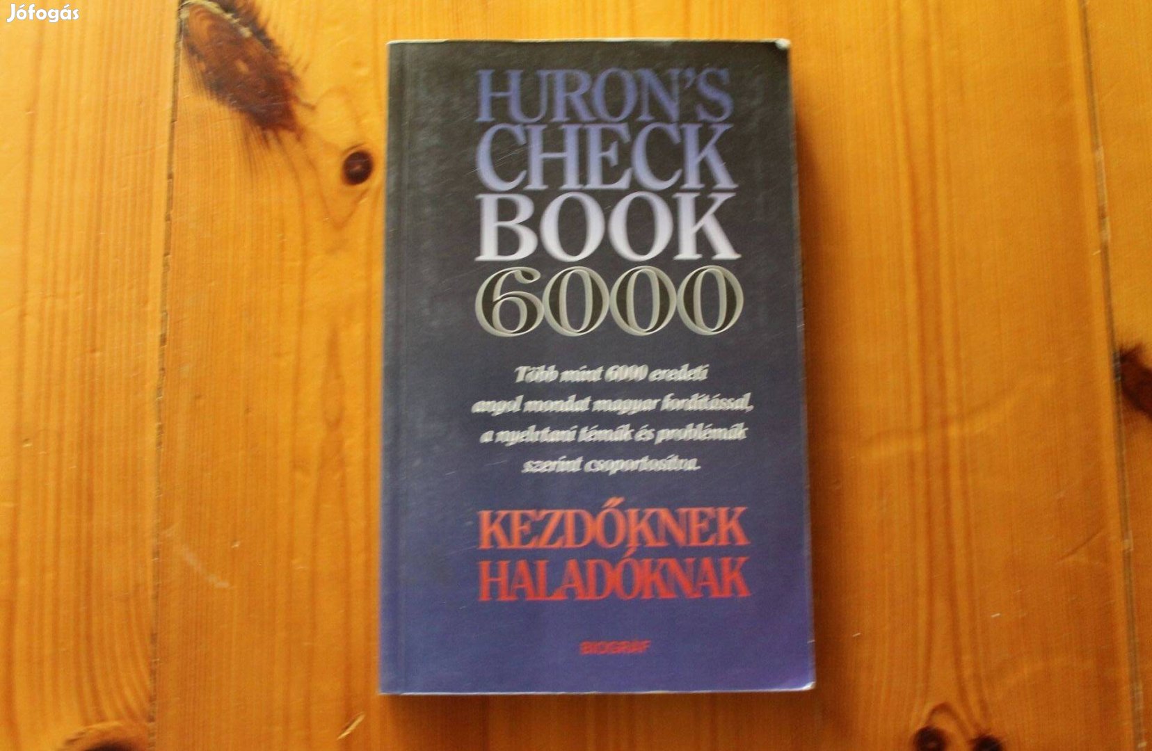 Huron's Check Book - 6000 angol mondat fordítással