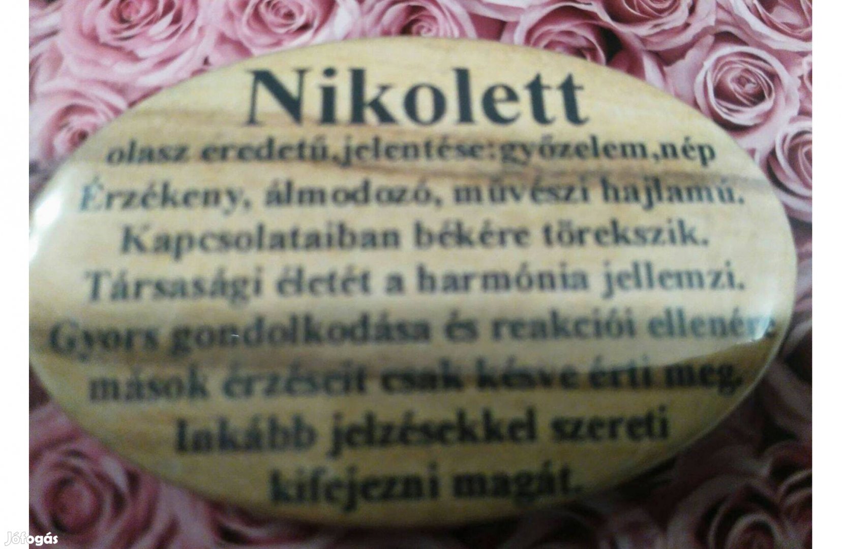 Hűtőmágnes ( Nikolett név felirattal, jellemzéssel ) eladó!