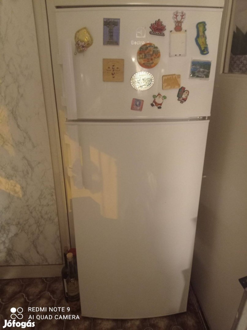 Hűtőszekrény