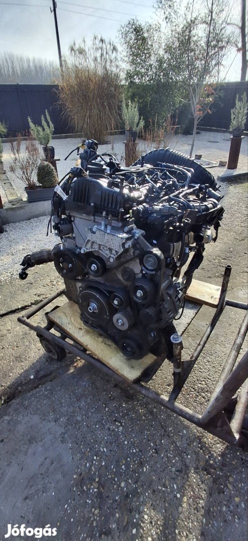 Hyundai Kia motor 2.0 Crdi D4ha 136le